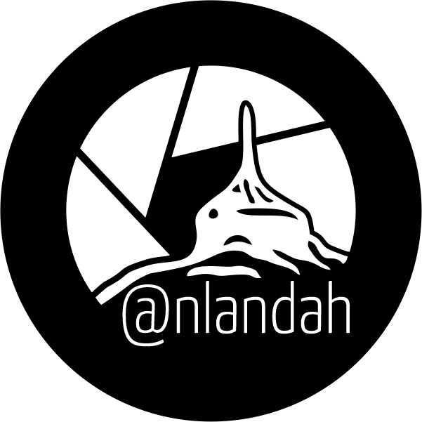 Neri Landa